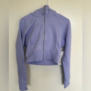 Scuba Full-Zip Cropped Hoodie